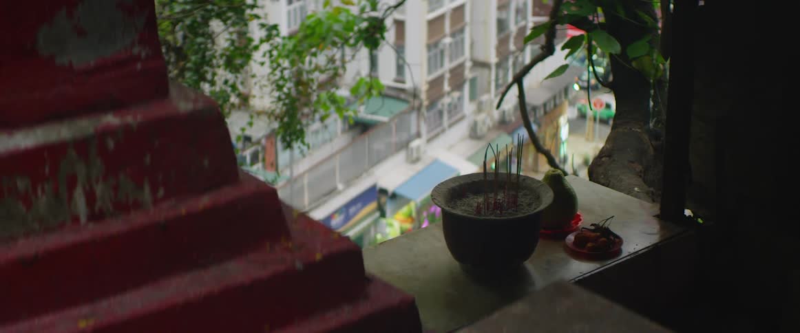 A potted plant sits on the ledge of a balcony overlooking the city below