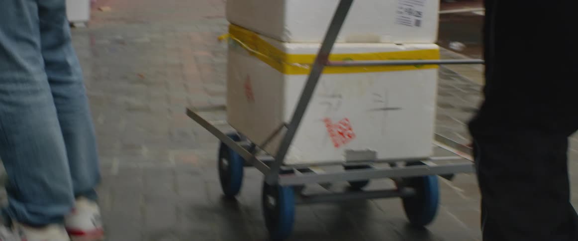 A person pushing a cart with boxes on a city pavement
