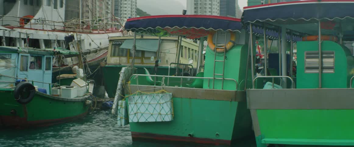 A flotilla of personal and commercial watercraft float off the coast of a city downtown