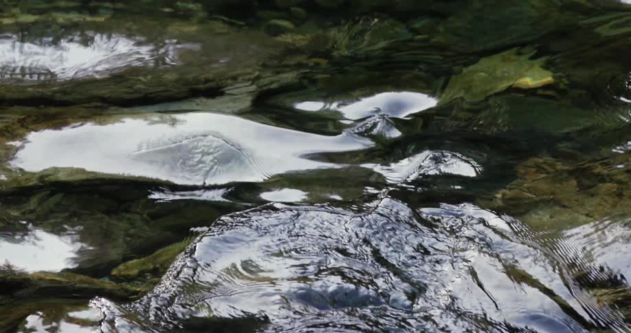 Shallow stream flowing over rocks