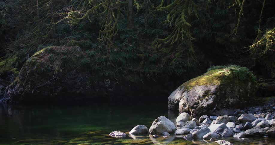Mountain stream in forest with boulder and rocks on bank