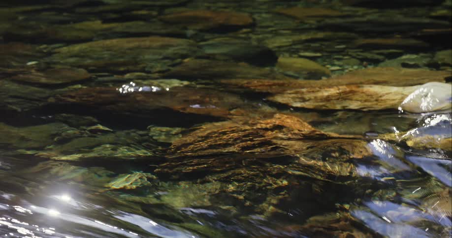 The stream has very clear water