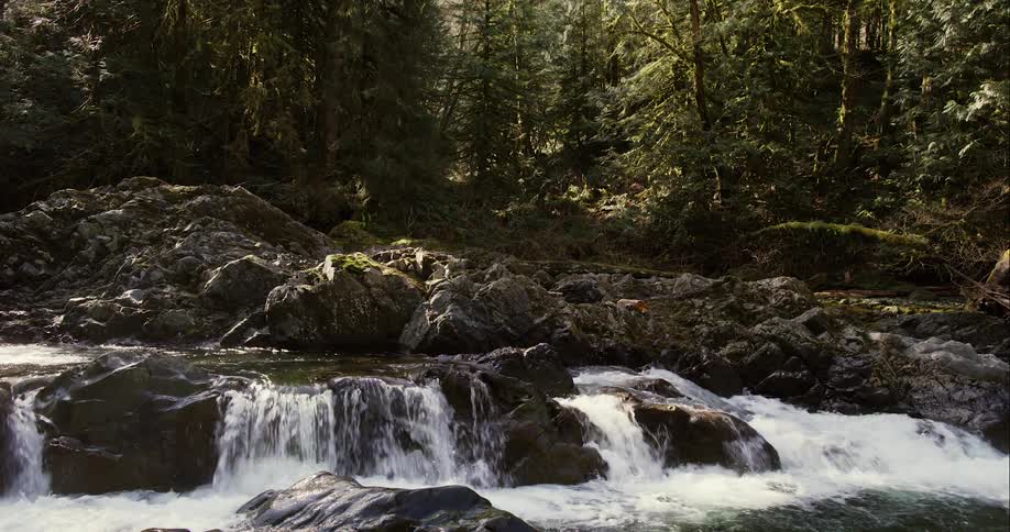 River flows over the rocks near a forest at sunset
