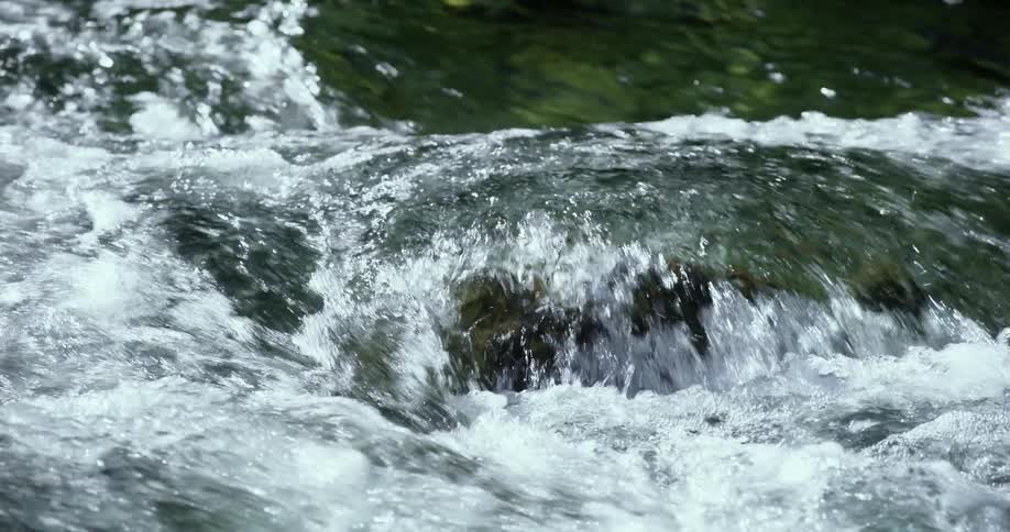 Water rushes over rocks in a river