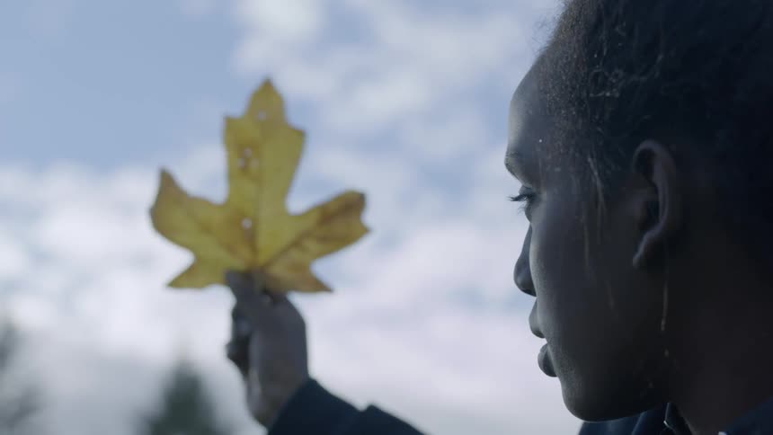 A young girl holds a yellow leaf in front of her face