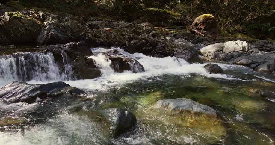 River flows off low rapids past moss strewn riverbank