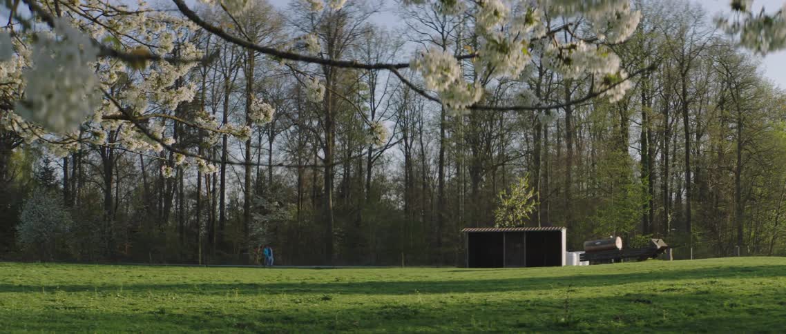 A person is walking along a trail next to some blossoming trees