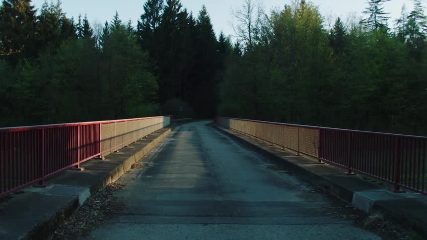 The bridge leads to the dark forest
