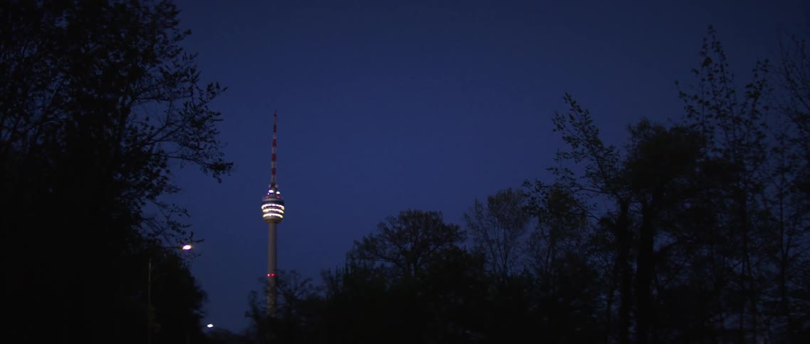 Street light shines among trees with distant space needle visible in the sky