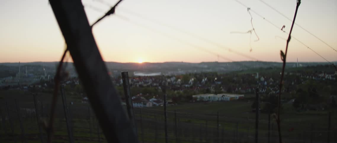 Landscape of a neighborhood