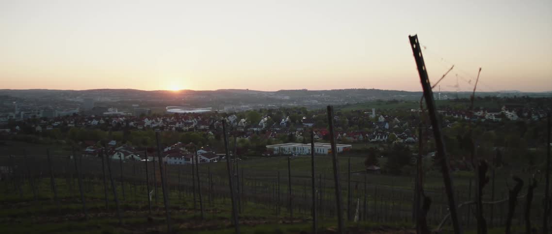 A vineyard in a field outside of a small town