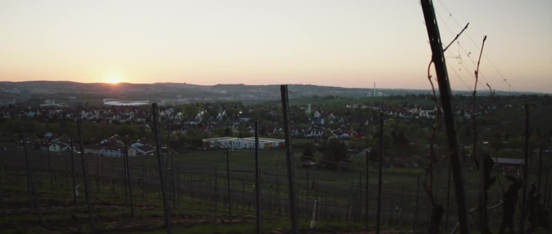 A winery with a skyline in the background