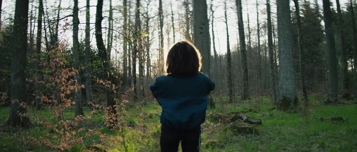 A person walking in a forest stops and takes a picture