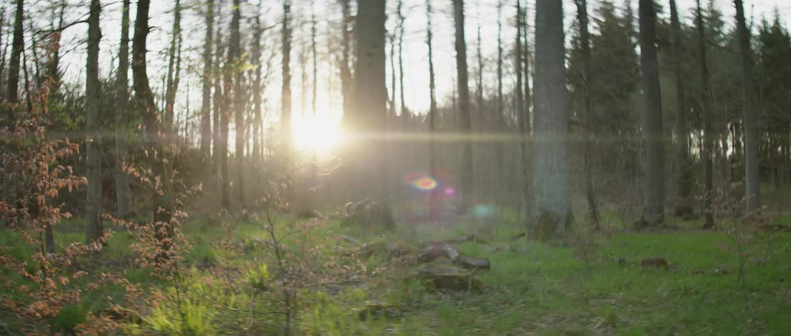 A woman holds up a camera and takes a photograph in the woods before walking away