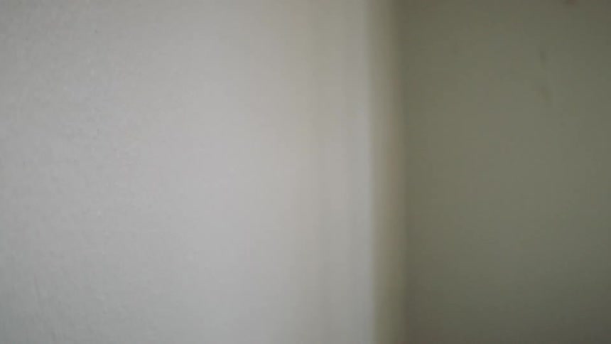 A paint roller applies white paint to a wall