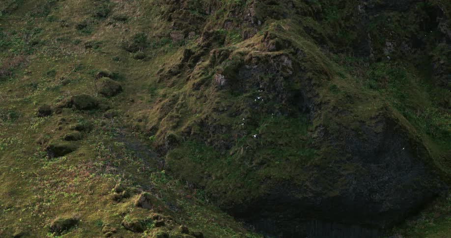 Birds eye view of birds flying over the hills