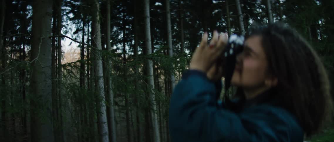 Female photographer takes pictures of trees in a forest at sunset