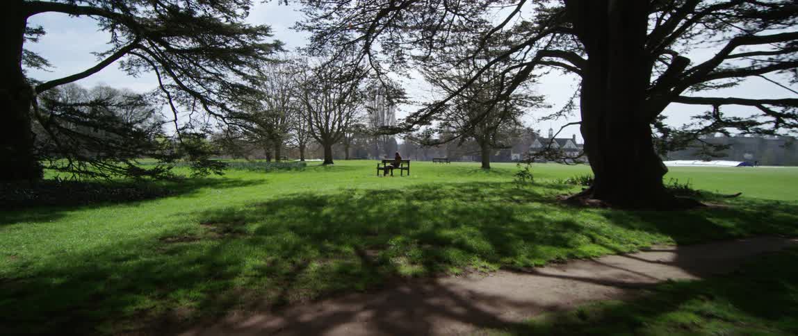 Someone sits on a bench in the park near the trees