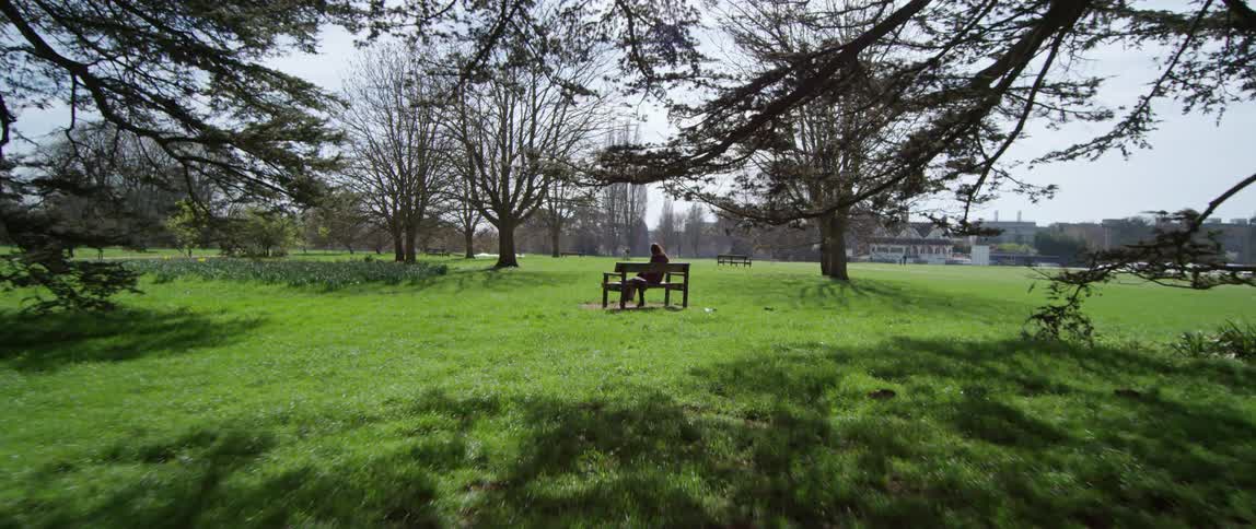 A person sitting on a bench in a grassy field