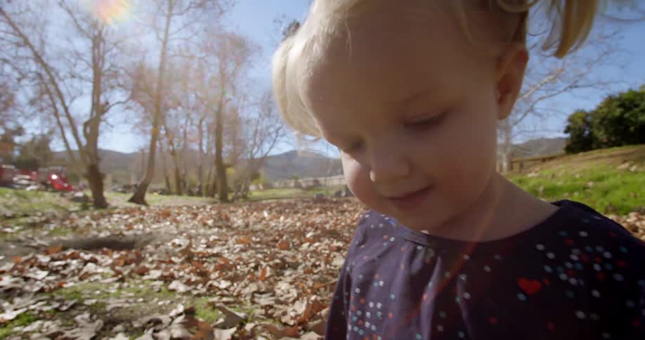Toddler girl walks through fall leaves in park