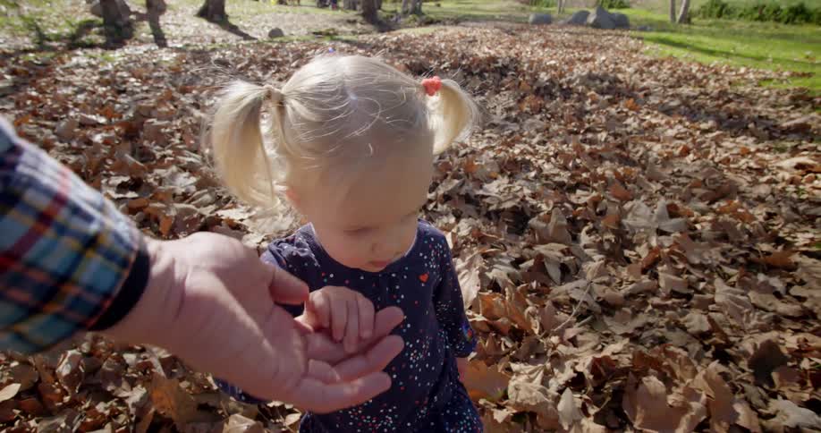 A father holds his daughters hand as she walks through a pile of dead leaves in the yard