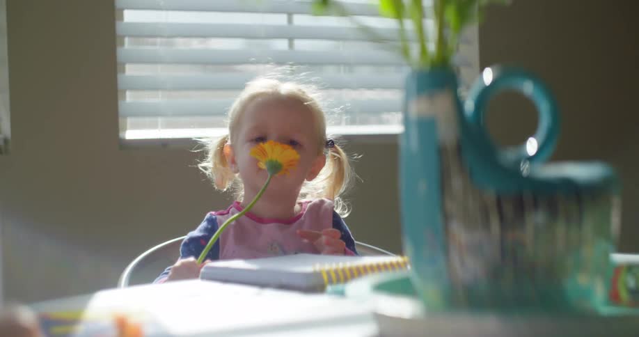 A young girl smells a flower while sitting at a table and gives it to her sibling to smell
