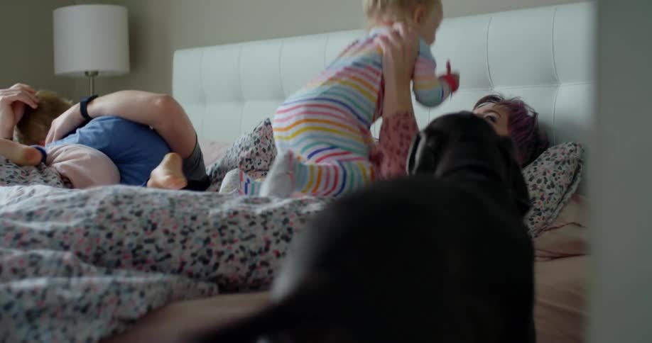 Two kids and a pet go into the parents bedroom in the morning