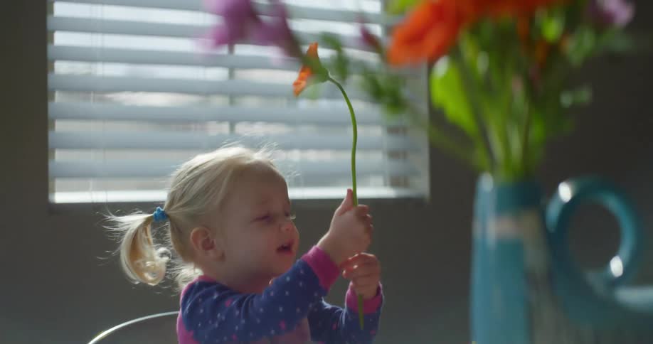 A blonde white child sits at a table and plays with a flower