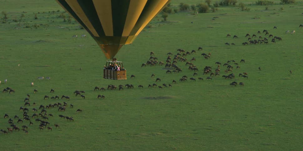 A hot air balloon is traveling over a large field covered with wildlife