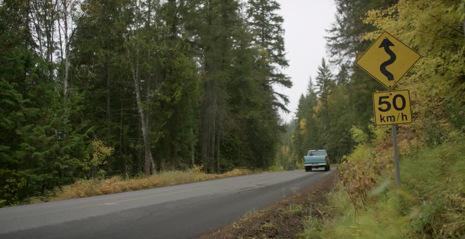 A blue pickup truck traveling down a road through a woodland