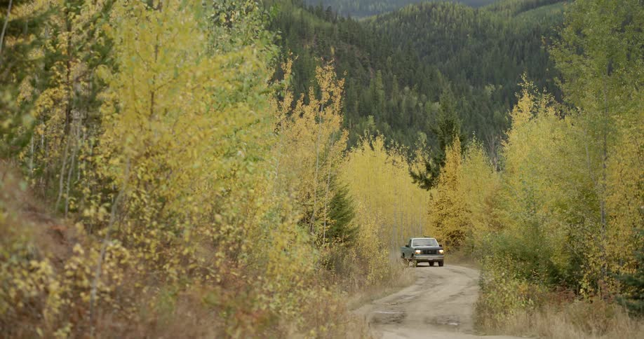A truck drives around the bend of a dirt road that runs through the woods