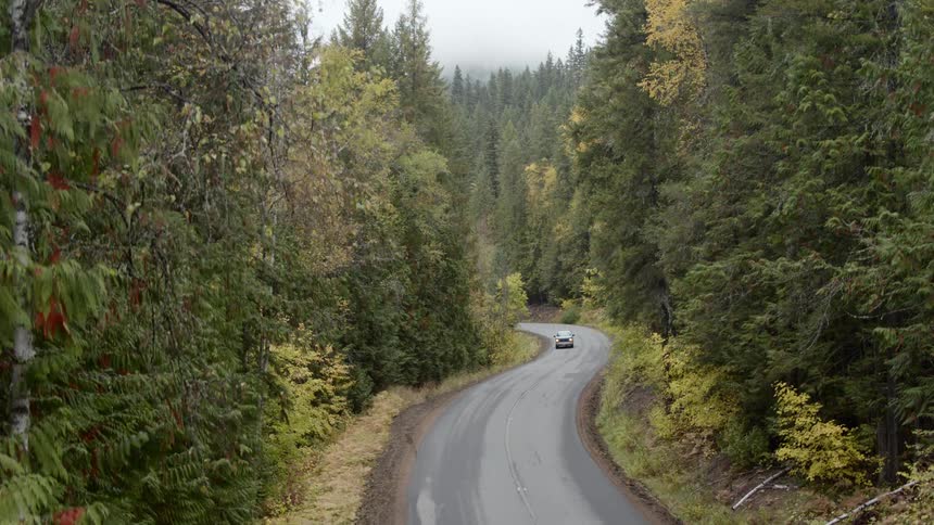 A truck drives down a street with forest on both sides