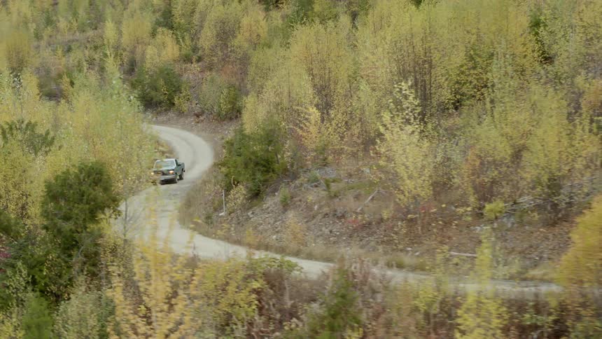 Pickup truck drives on a rural road through pine trees
