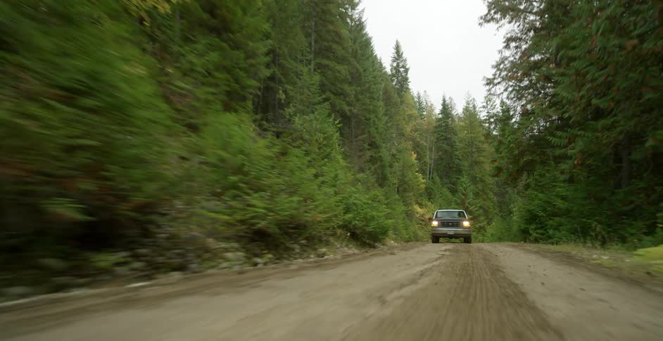 Older model truck drives on dirt road through forest