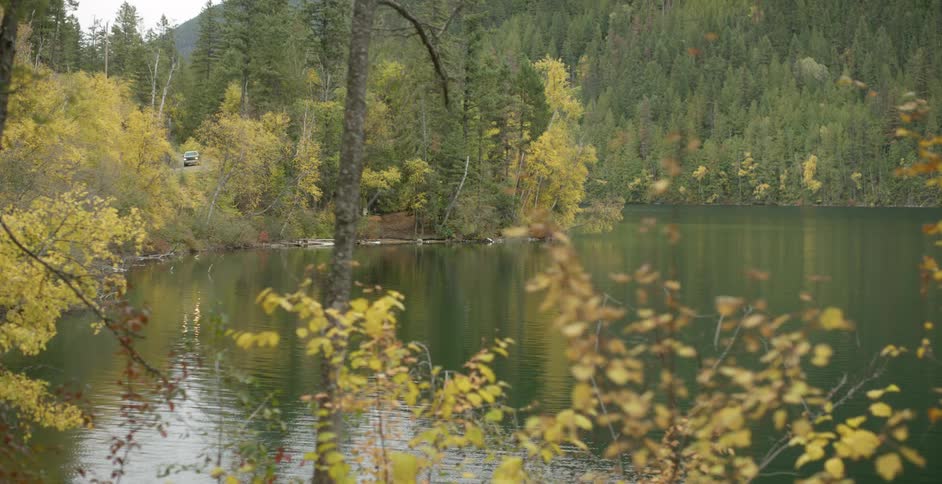 Calm waters of a lake surrounded by pine trees with a road nearby