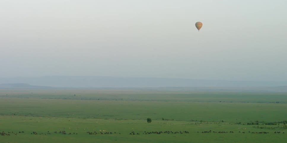 A hot air balloon is flying in the distance over a large field covered with wildlife