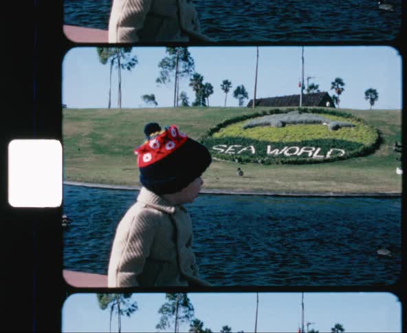Young boy points to the waterfowl in the lake at sea world