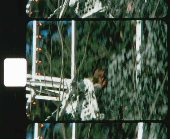 A mother and child ride a ferris wheel