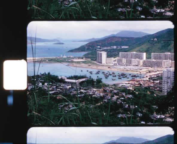 Boats fill a harbor in a coastal city