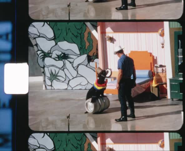 A white man watches a seal roll a barrel across concrete