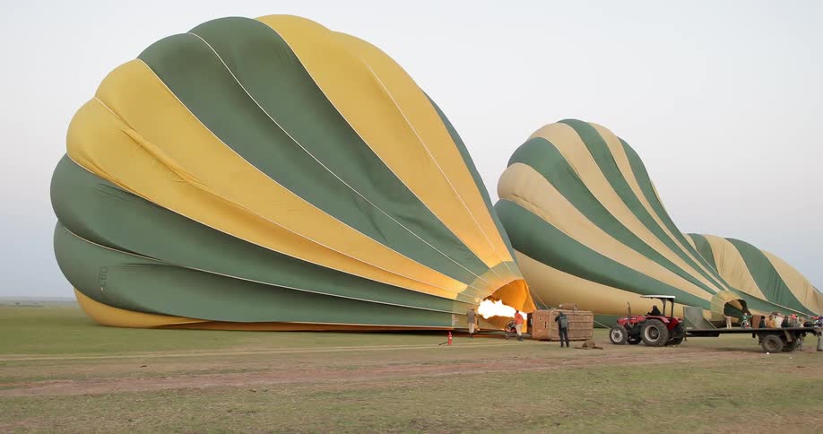 Hot air balloons being filled in a field