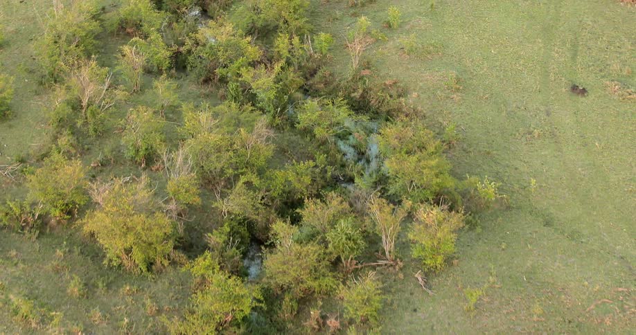 Aerial view of a small stream by two fields on a sunny day