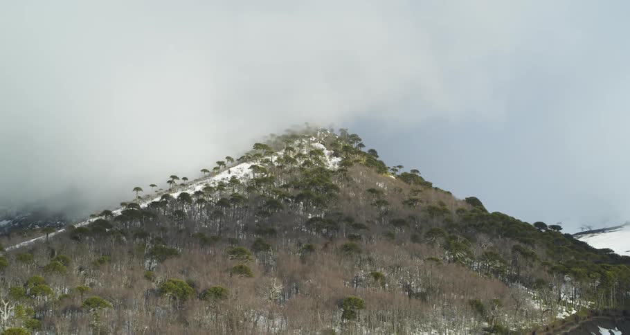 Aerial view of mountain peak in a snow covered landscape