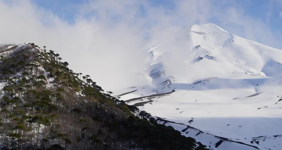 Aerial of forest and volcano covered in snow