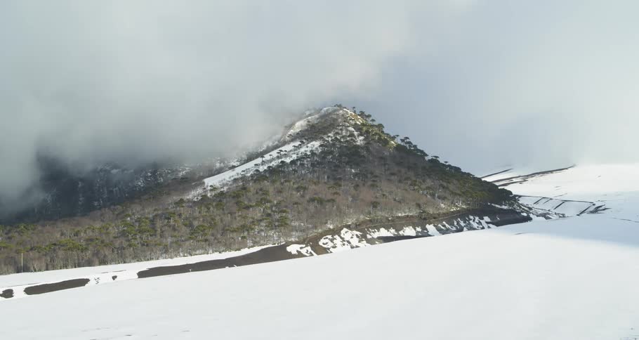 Aerial of a snowy valley with green trees