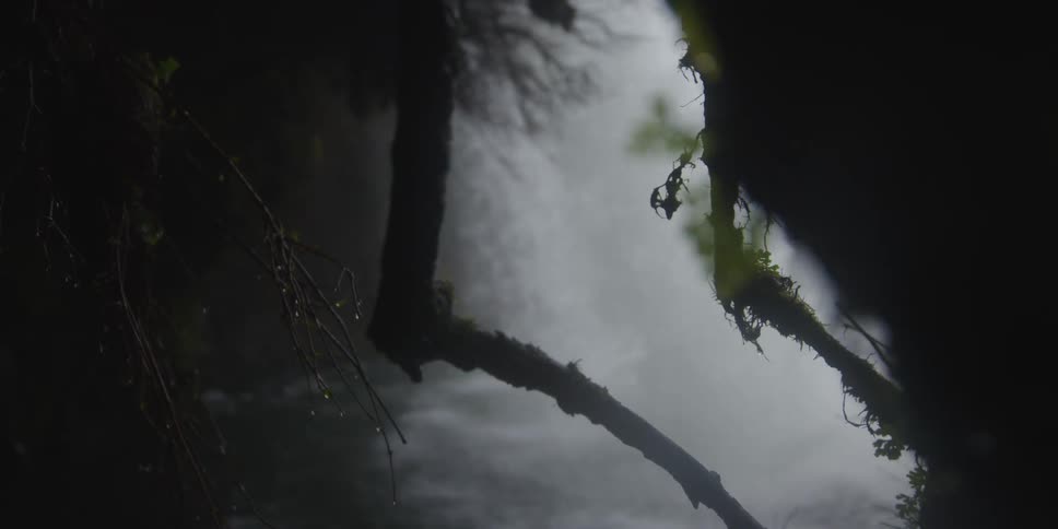 Water rushes down a waterfall into a basin with branches covered in moss