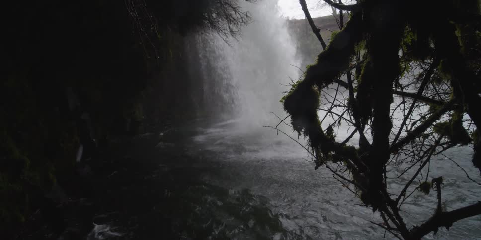 Branches covered with moss hang over a body of water fed by a waterfall
