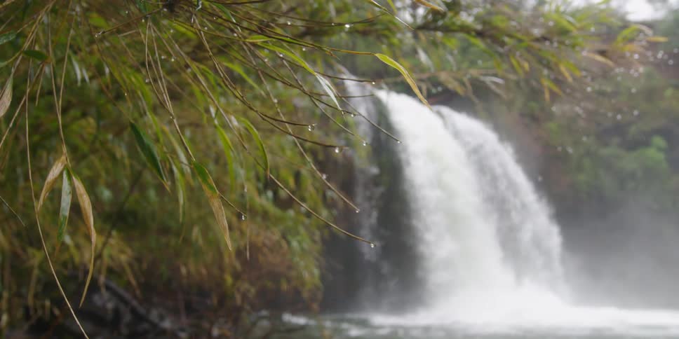 Water rushes down a waterfall as rain drops drip off leaves of surrounding trees