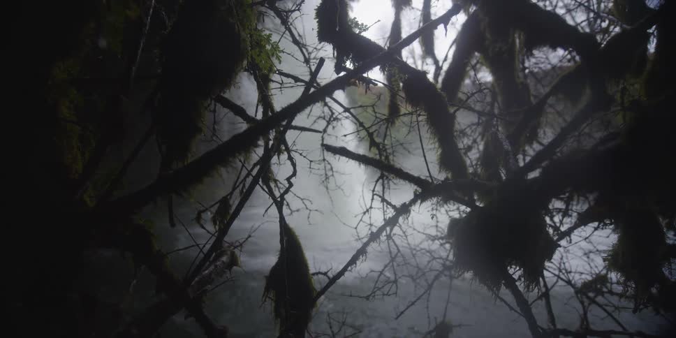 Branches heavy with moss hang over a body of water being fed by a waterfall
