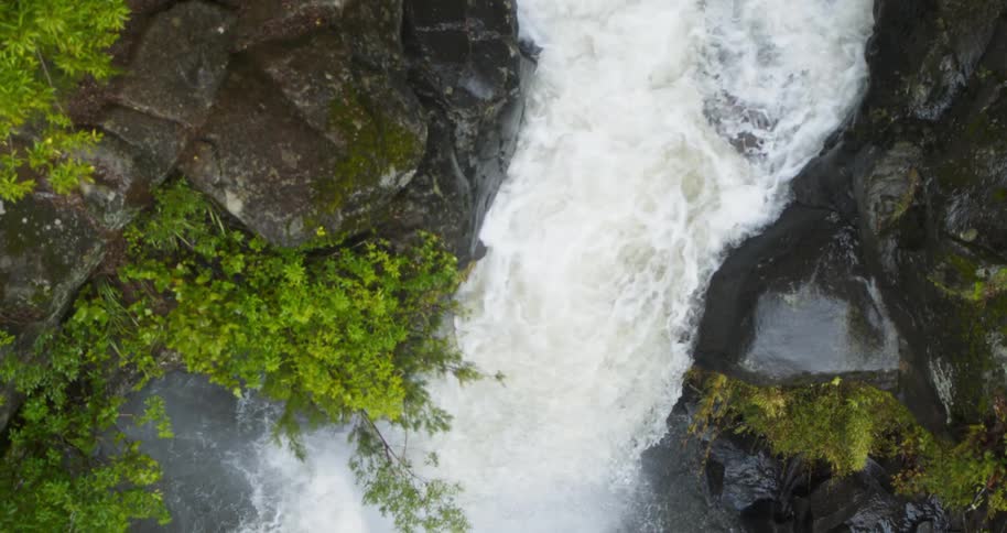 Aerial view of water rushing down a waterfall into pool of water in rainforest
